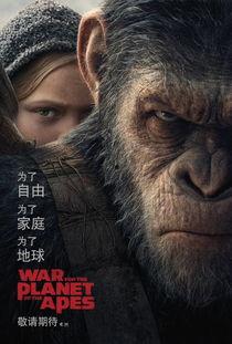 猩球崛起在线观看免费,重燃自由之战——在线免费观看，探索猿类革命传奇