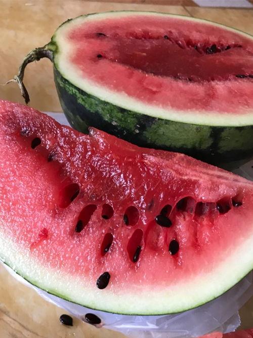 桑植新瓜最新爆料,揭秘瓜界新宠儿的神秘面纱 第1张 桑植新瓜最新爆料,揭秘瓜界新宠儿的神秘面纱 第1张